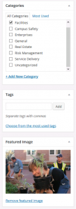 WordPress editing toolbar for categories, tags and Featured Images